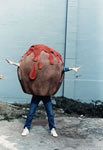 Meatball Costume